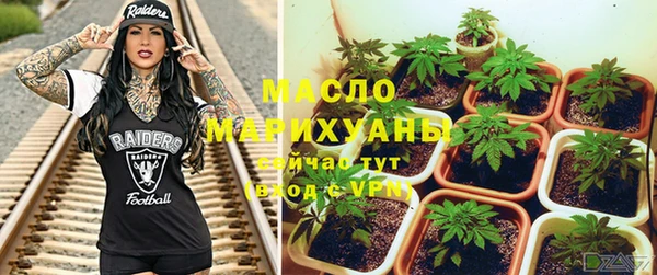 мдпв Осинники