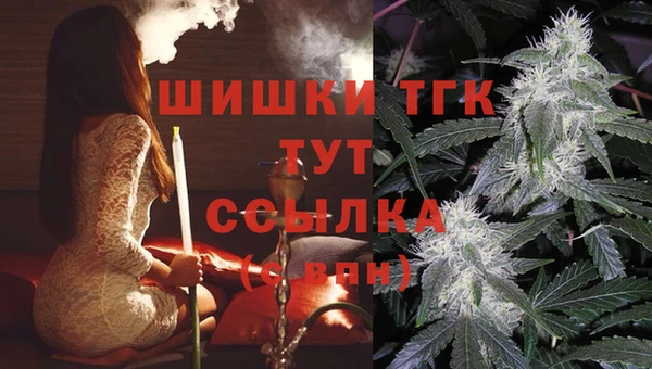 мдпв Осинники