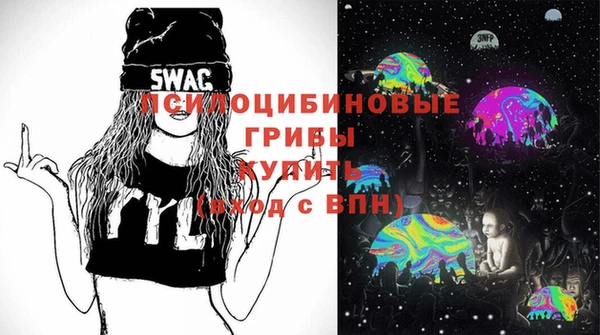 мдпв Осинники
