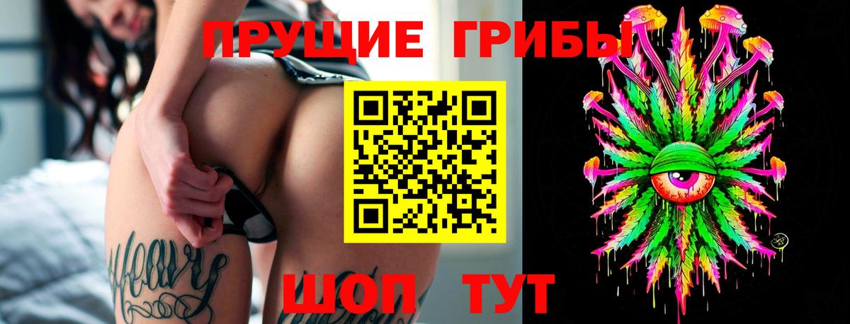 Чебаркуль  Псилоцибиновые грибы GOLDEN TEACHER  Псилоцибиновые грибы GOLDEN TEACHER  Вход с VPN 