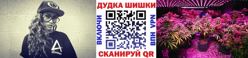 Бошки Шишки ГИДРОПОН  Чебаркуль 
